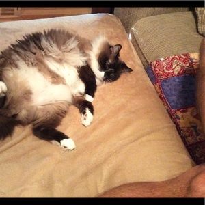 Meet your Posher, Phillip